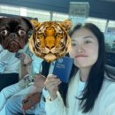 (주)게이트엔에스엔터테인먼트 | 일본 소도시 구마모토 여행 대한항공 KE2155 탑승 후기 기내식 기내 와이파이 미디어 접속 방법