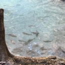 잉어물놀이 화장실 이미지