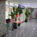 한국노총인천지역본부 남동근로자종합복지관 이미지