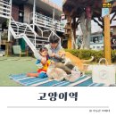 고양이기숙사 | 영흥도 숨은 명소 발견 ㅣ 아이와 가기 좋은 고양이카페 ‘고양이역’ 솔직 후기