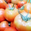 유현문화관광지유물전시관 네이버블로그