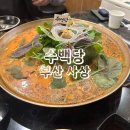 수백당 모라점 | 수백당 부산 사상맛집 추천 후기