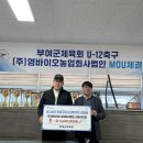 영바이오 이미지