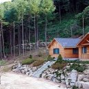 금원산자연휴양림 이미지