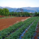 삼주세탁소 이미지