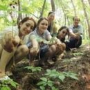 [유기농신문] 함양 산양산삼 명품화로 세계적인 항노화산업의 중심으로 도약