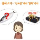 고급문장수업 - (523) 세태를 담은 말 - ⑩ 말 줄여 쓰기 풍경/ 저자 서정오 이미지