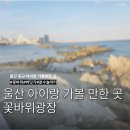 꽃바위문화관 다목적공연장 | 울산 동구 가볼만한 곳 꽃바위바다광장 아기랑 분수 바다해루질