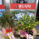 미림부동산공인중개사사무소 네이버블로그