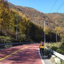 장백강변길 이미지