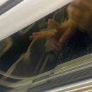 CU 망원월드컵점 | 25.6.19