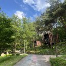 울산 캠핑장 작천정 별빛 야영장A 1번 사이트 이용 후기