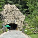 삼남매와 뭉치네 캠핑장 | 삼남매와 뭉치네 캠핑장 (평창) - 여름 성수기 피서 힐링 놀기 모두 가능!!