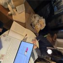 보원목장 이미지