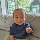 중문빌리지 | 중문 호텔 그랜드조선 제주 프리미어 스위트룸 숙박 내돈내산 후기