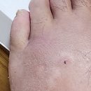 원통 진영한의원 이미지