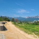 한채하우스민박 이미지