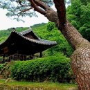 백두공인중개사사무소 이미지