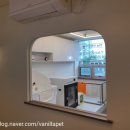 The 사랑할 개 이미지