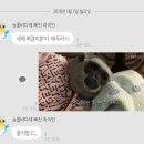 서울일러스트레이션페어w;서일페 관람 후기