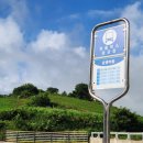 나진버스승강장 이미지