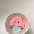 블루무드 이미지