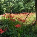 영광안경 이미지