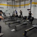 크로스핏 스네일 이미지