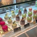 퍼스트커피 이미지