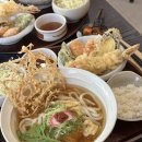 청우동 | [부산시청맛집] 일본현지보다 더 맛있는 카라이우동, 온소바 덴푸라세트 부산 시청역 맛집 ‘히쿠소바’