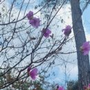 봉래농장 이미지