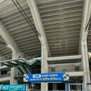 맘모스모터스 | 240601 K-league 전북현대모터스 vs 울산HD 현대가더비 케이리그 축구 직관 후기