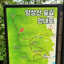 작두산성鵲頭山城 | 충북청주 양성산養成山 &amp; 작두산鵲頭山(2026/05/26)