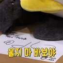 대신광고사 이미지