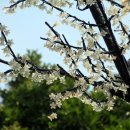 진해문화센터(구민회관) 이미지