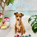 어서왈왈 이미지