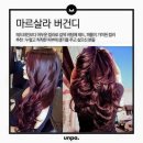 판다스노우