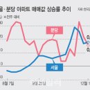 강남 이어 분당 뛰는 아파트값, 문재인 무슨 생각? 서울 분당 아파트 매매가격 상승률 추이-판교 개발 호재, 재건축, 대체수요 원인? 과연 그럴까? 이미지