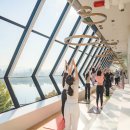 로이 힐링 이미지