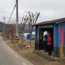 강림초등학교 앞 이미지