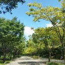 (주)솔마루 이미지