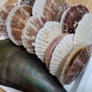 더스테이하우스펜션 이미지