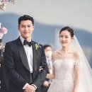 디톤헤어 이미지