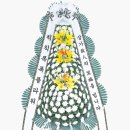 칙칙폭폭플라워