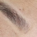 국제동물병원 | [강아지 스케일링 후기] 12살 노령견의 스케일링 '명지국제동물병원'