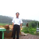 안정초등학교 이미지