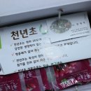 천년홍삼건강원