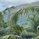 아담스토리 | 🇸🇨 세이셸 마헤 | 5성급 리조트 Story Seychelles '스토리 세이셸' 투숙 후기