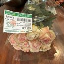 무명농장 이미지