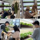 초로기 치매환자 위한 특별한 공간 '초록기억카페' 4호점 이미지